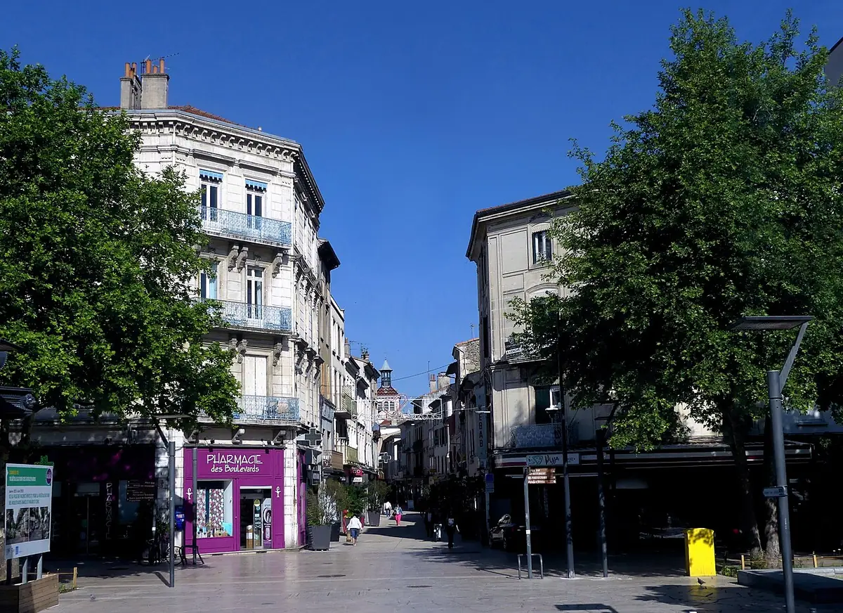 La rue piétonne Madier-de-Montjau vue depuis la place du Général-Leclerc, bordée d’immeubles anciens