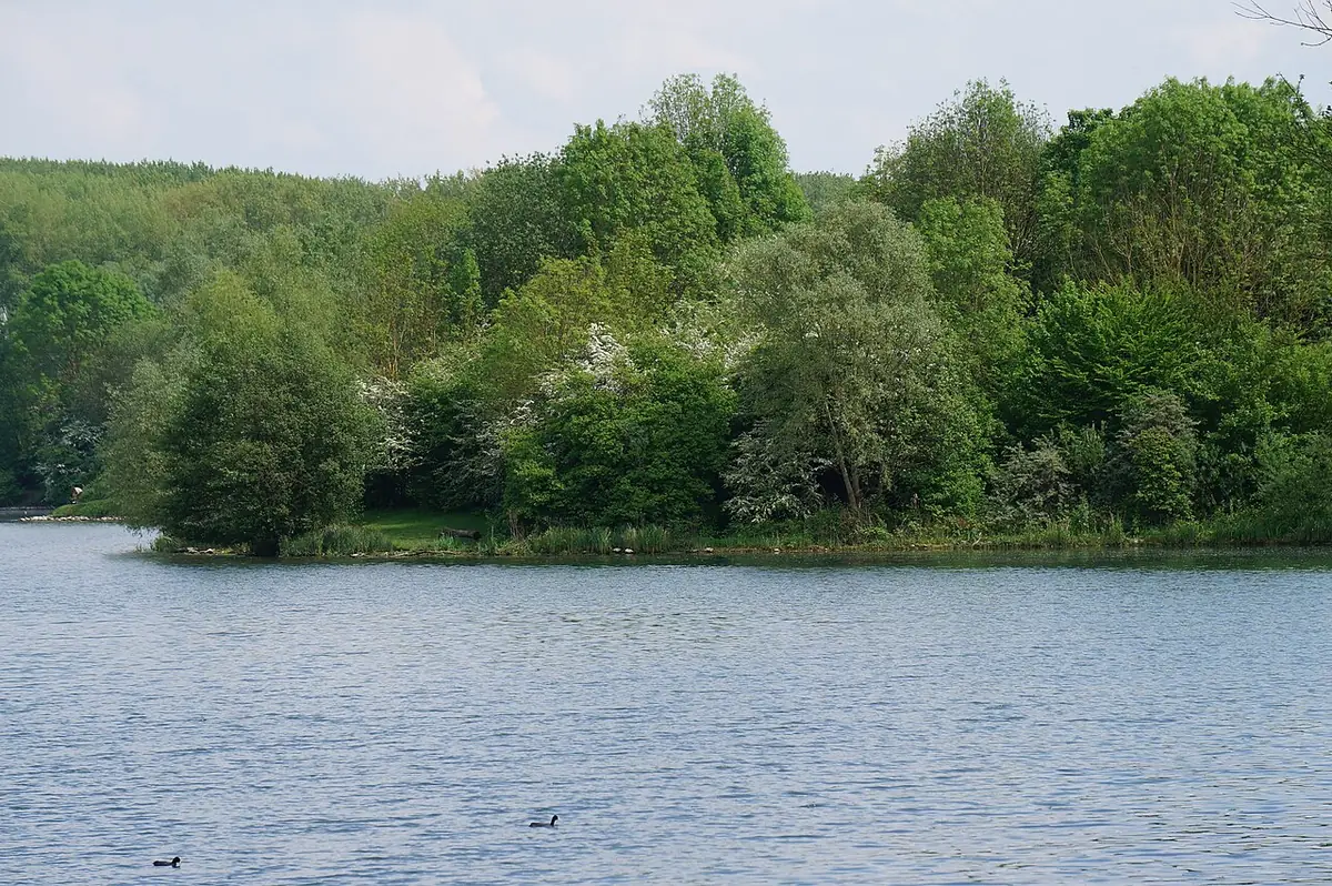Plan d’eau entouré d’arbres dans la réserve naturelle du Héron